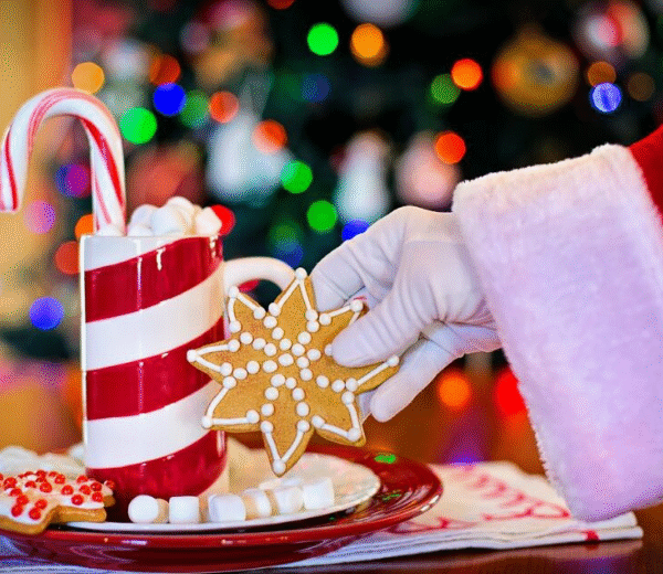 Best Christmas DTF Transfers Designs for Small Printing Businesses