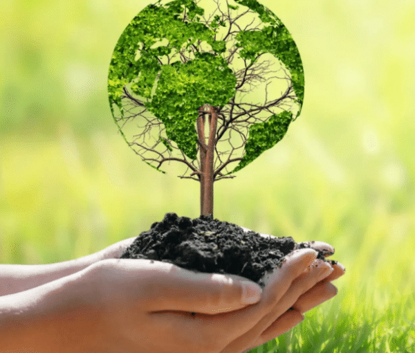 Practical Ways Modern Businesses Can Reduce Their Climate Impact