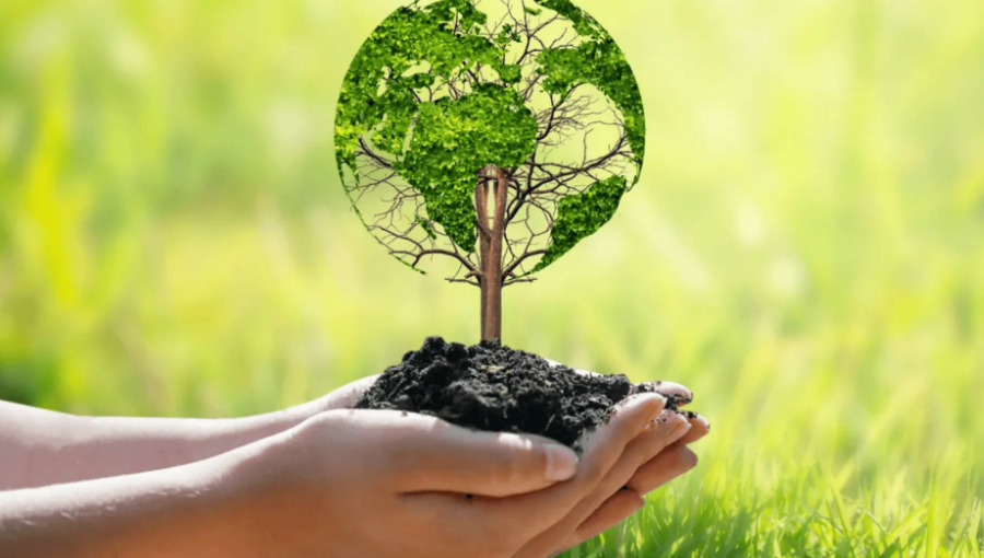 Practical Ways Modern Businesses Can Reduce Their Climate Impact